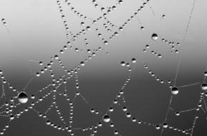 http://www.freedigitalphotos.net